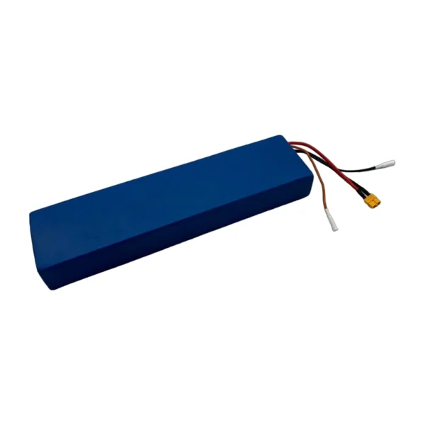 36V 12Ah Battery for Dualtron Togo
