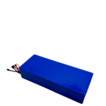 60V24AH Battery for Dualtron Victor / Luxury / Spider 2 / Forever LTD