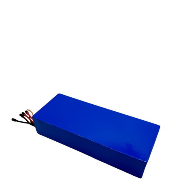 60V24AH Battery for Dualtron Victor / Luxury / Spider 2 / Forever LTD