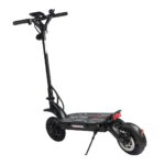 Dualtron Forever Limited rear three-quarter view