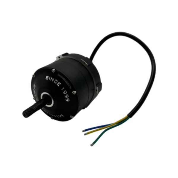 Motor for Dualtron X Limited