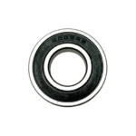 6002-RS Bearing for Inmotion RS