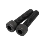 Pair of black socket-head front fork screws for Dualtron Togo Limited