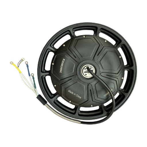 Motor for Leaperkim Lynx