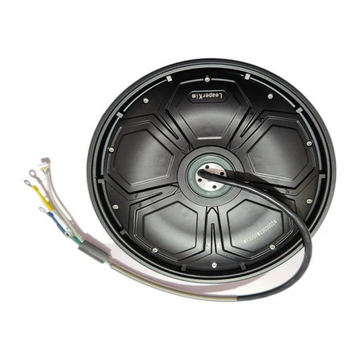 Motor for Leaperkim Patton